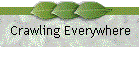 Crawling Everywhere